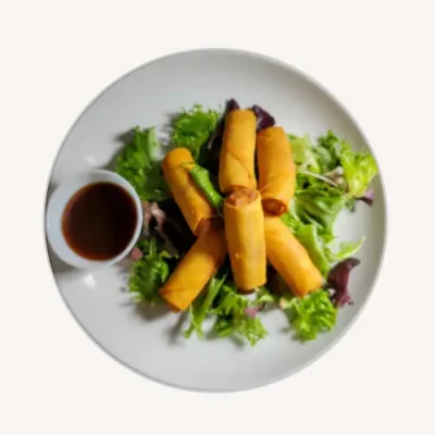 Beef Spring Rolls